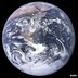 Extinction .in